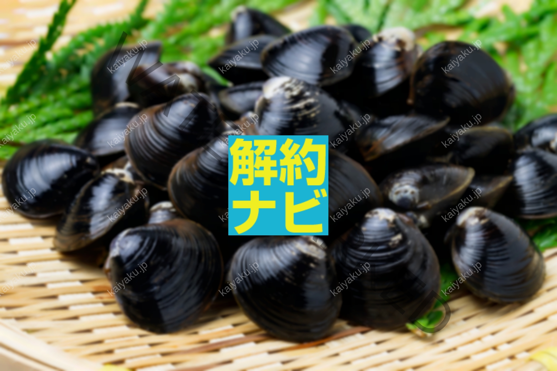【解約方法】しじみ習慣の定期購入を安全にやめる全手順ガイド