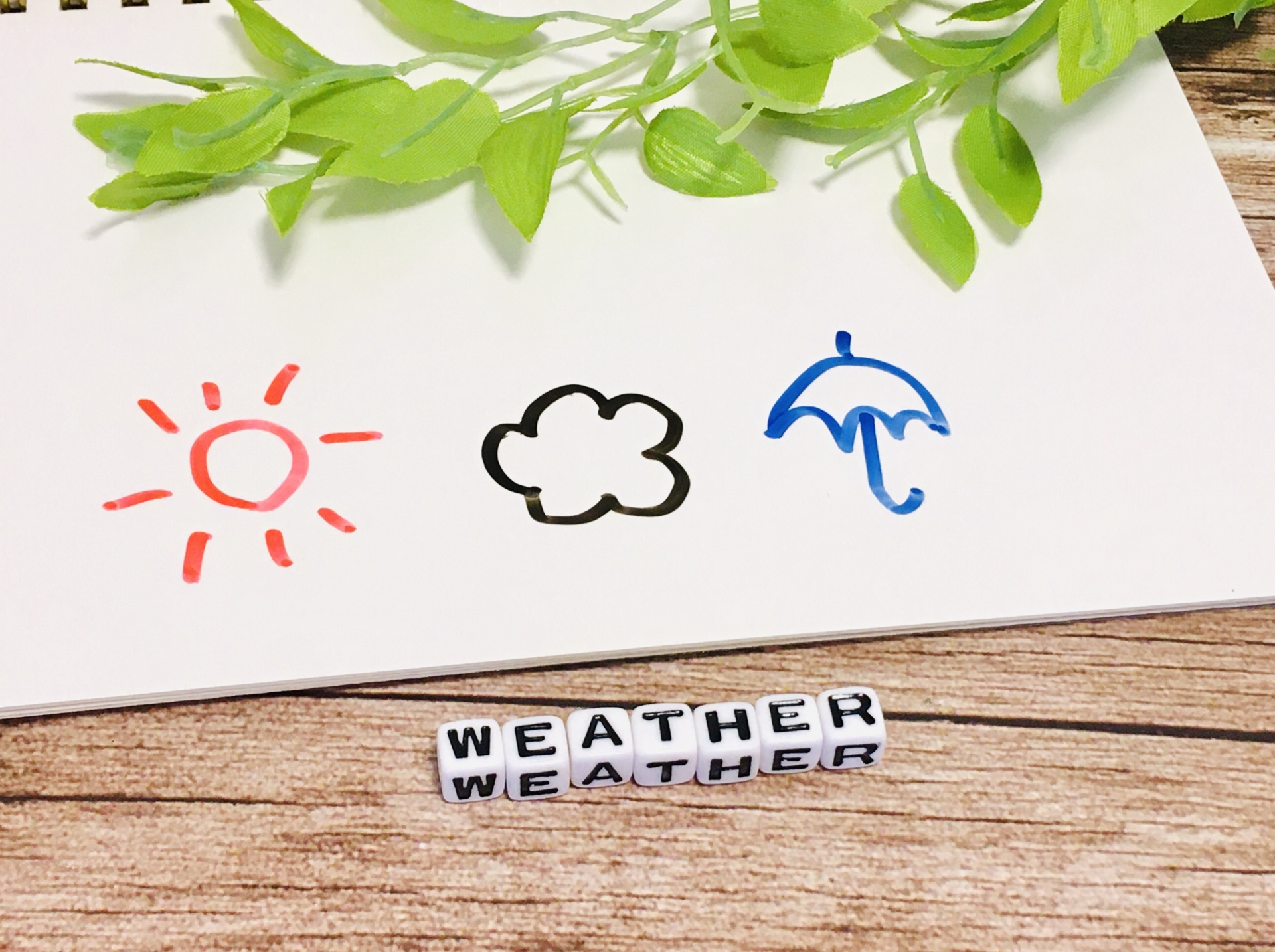 【解約方法】ウェザーニュース有料会員(月額330円)の解約手順を決済経路別に完全解説