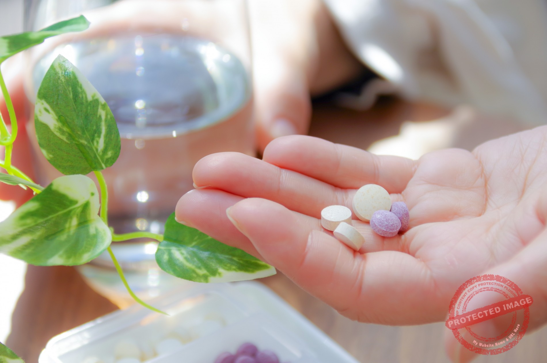 【解約方法】ナチュラルガーデン(ディアナチュラ)定期コースを電話で解約する手順と締め切りを解説