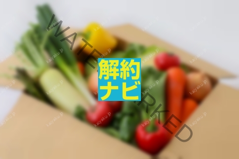 【解約方法】VEGIMO（ベジモ）を最短でやめる完全ガイド｜失敗しない手順と注意点