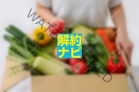 【解約方法】パルシステム退会ステップを徹底解説｜申込書・返金・トラブル対策まで