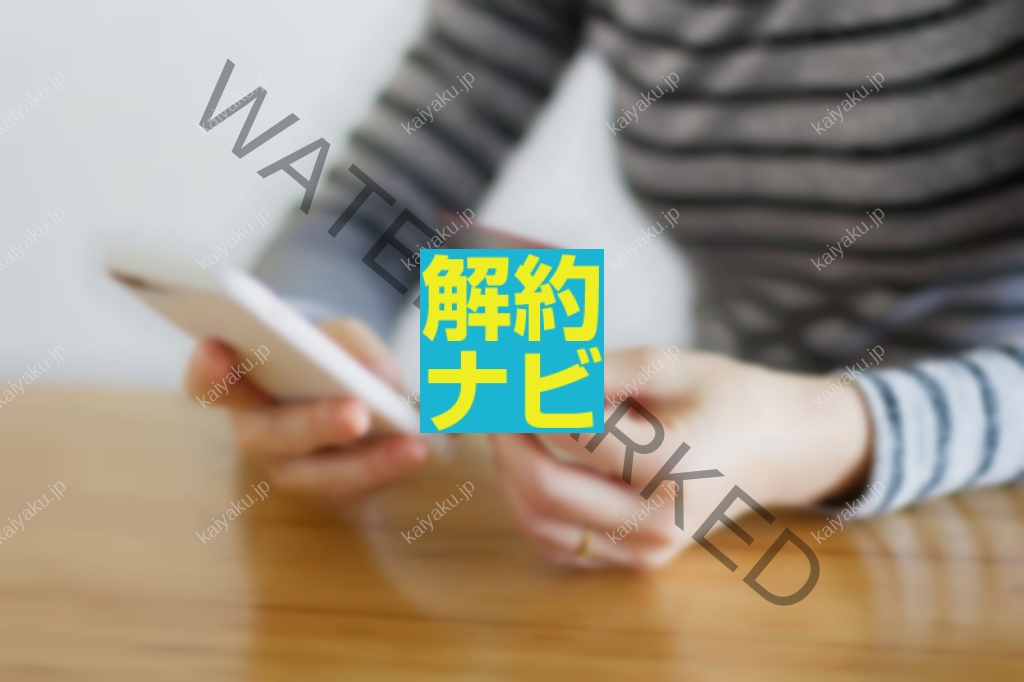 【解約方法】ポイント失効・支払い停止に注意!イオンカード解約前の確認事項