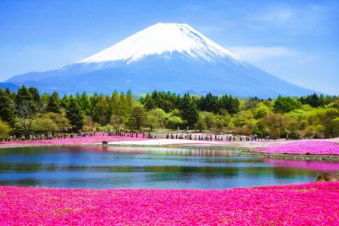 【解約方法】ふじざくら命水を今すぐやめたい方へ｜違約金・返却・乗り換えまで完全ガイド