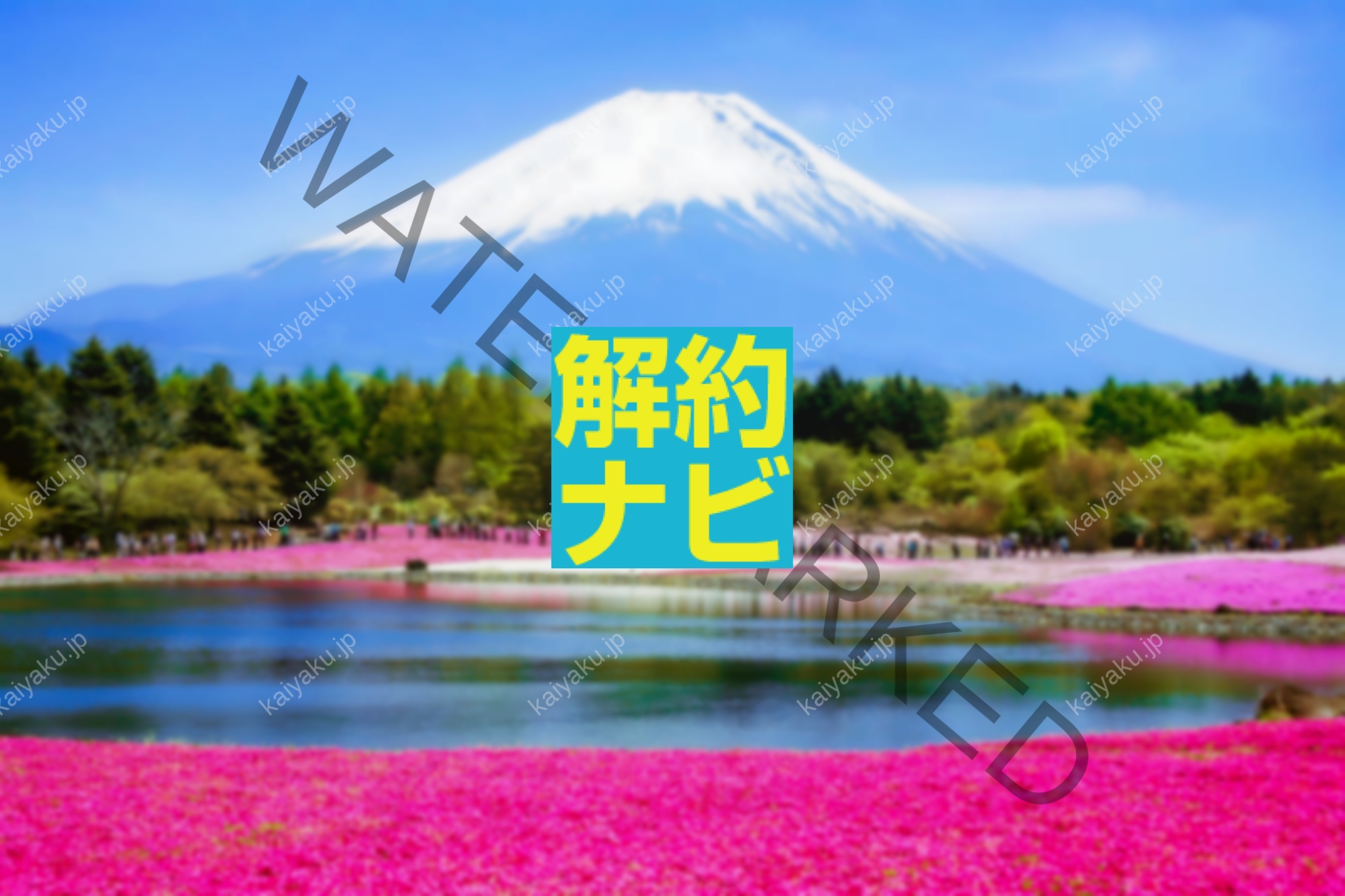 【解約方法】ふじざくら命水を今すぐやめたい方へ｜違約金・返却・乗り換えまで完全ガイド