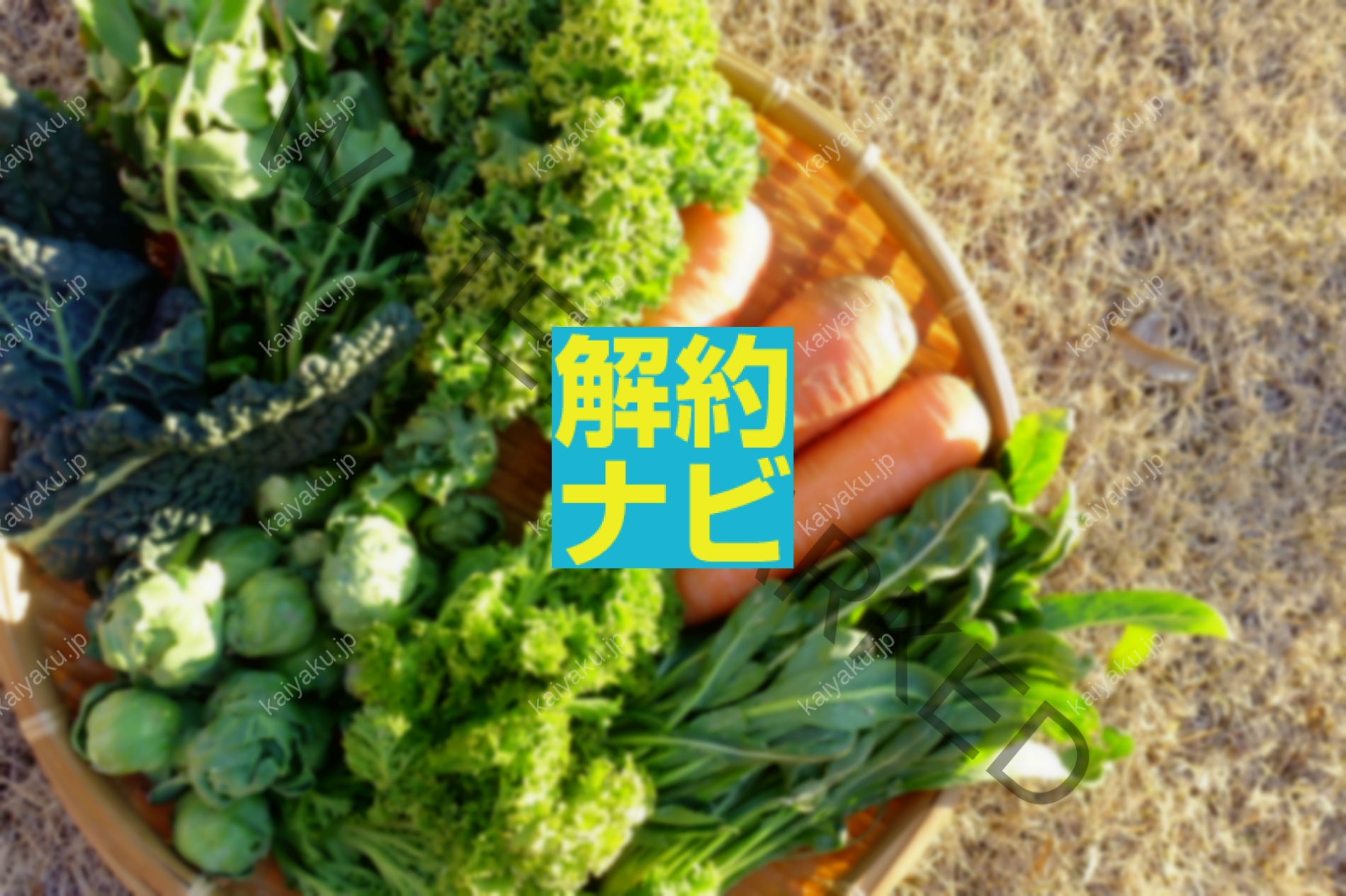 【解約方法】坂の途中の定期宅配を失敗せず停止する手順まとめ