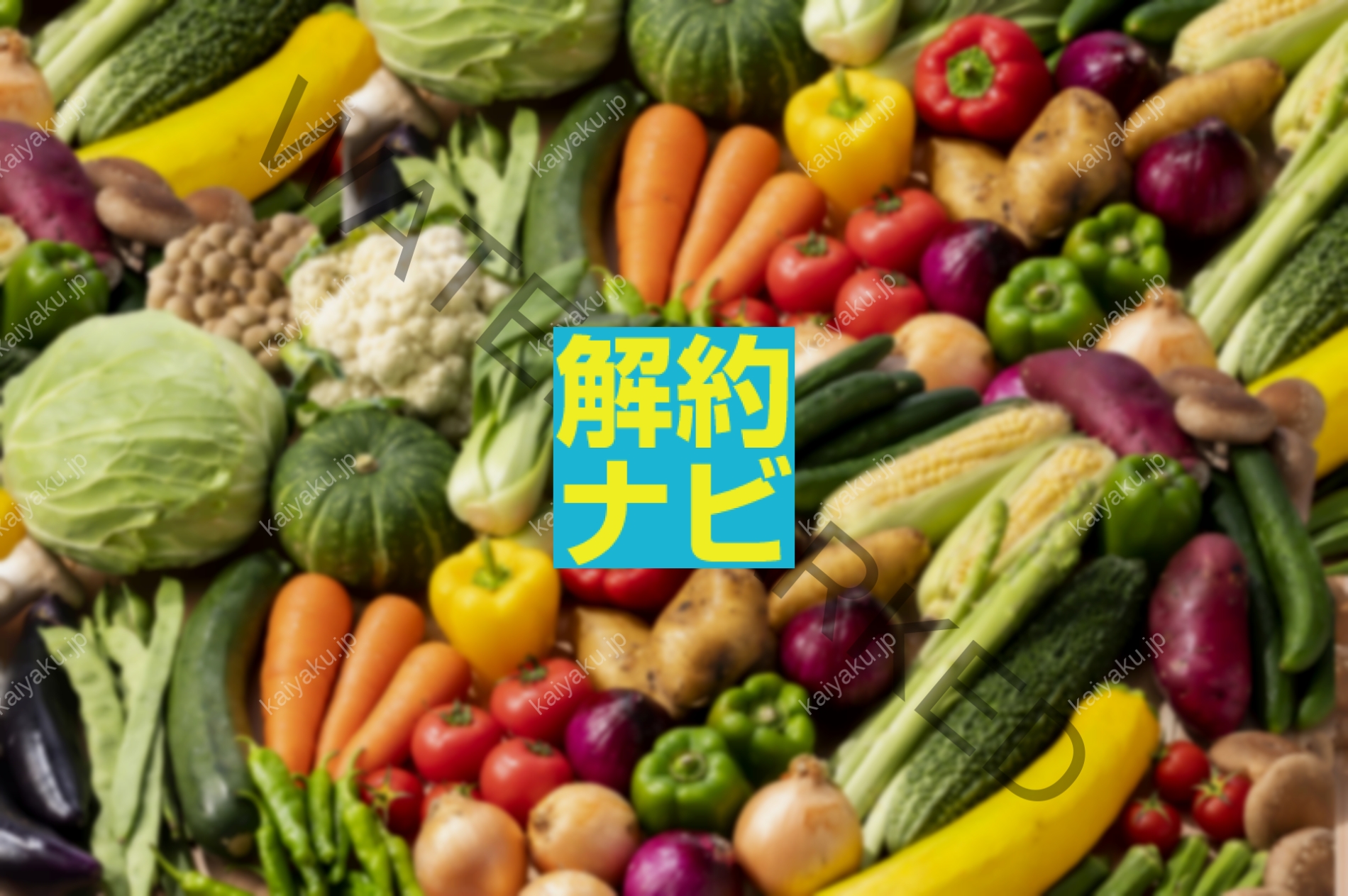 【解約方法】FitDishをスムーズにやめる！マイページ＆電話の手順まとめ