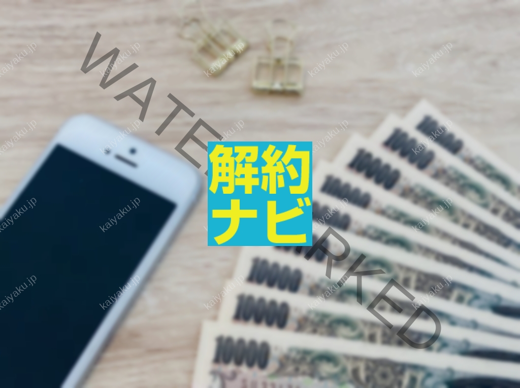 【解約方法】電話・店舗・Webでのワイモバイル「データ増量オプション」解約手順を徹底比較　