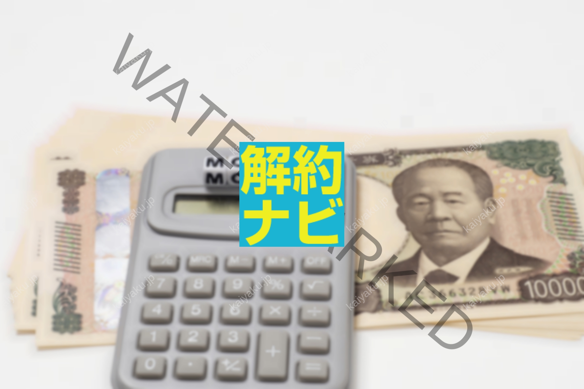 お名前ドットコムのサーバーを安全に解約する全手順と注意点まとめ