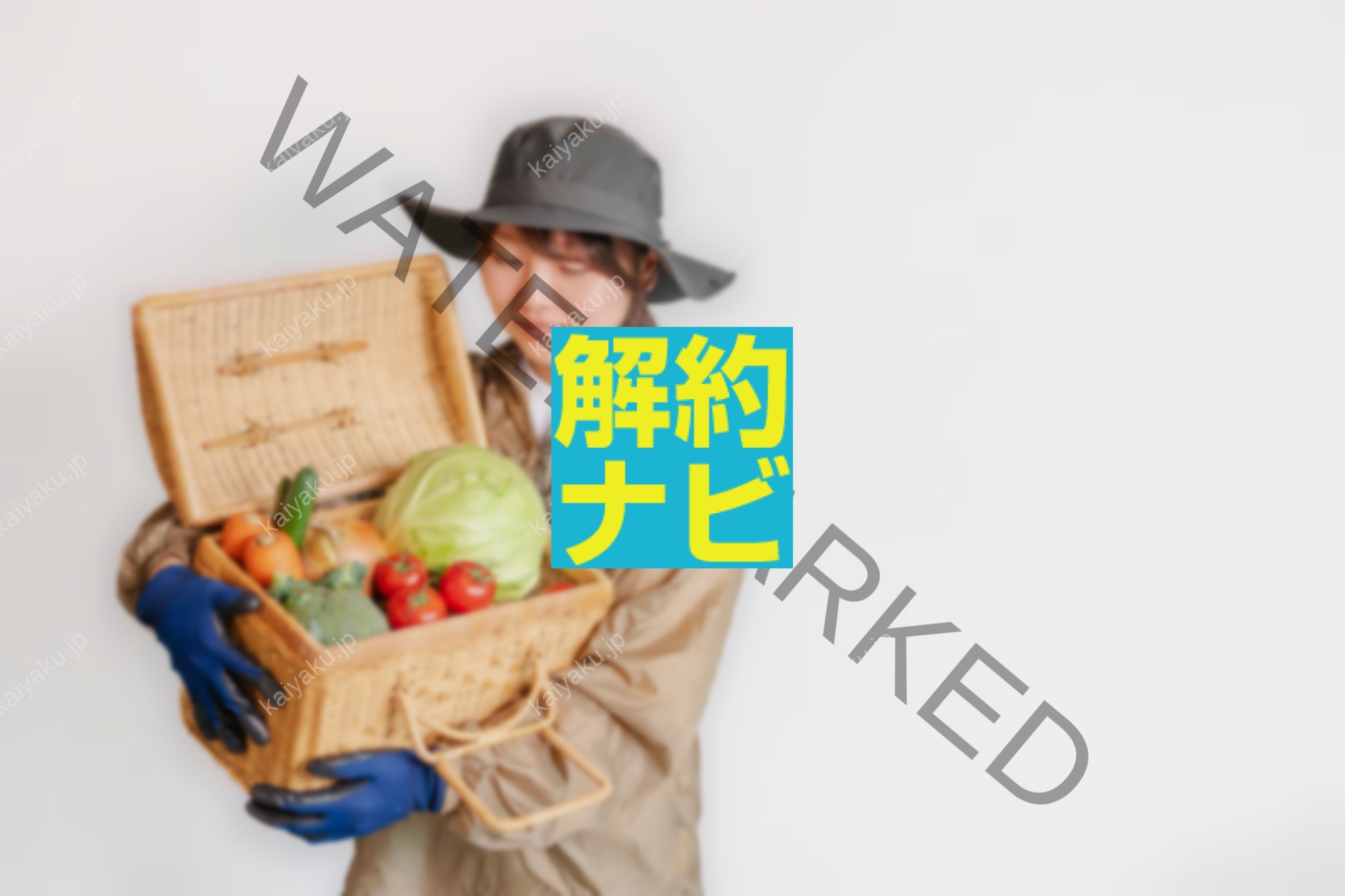 【解約方法】秋川牧園をスムーズにやめる手順と注意点を完全網羅