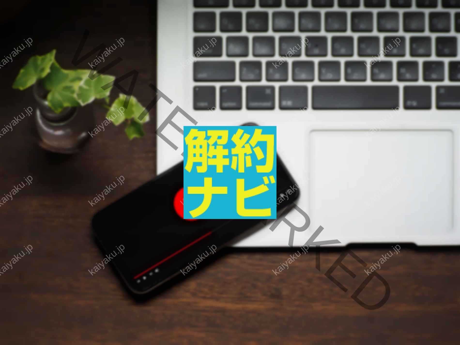 【解約方法】dアニメストアを確実に解約する完全ガイド｜契約経路別・エラー対処まで徹底解説