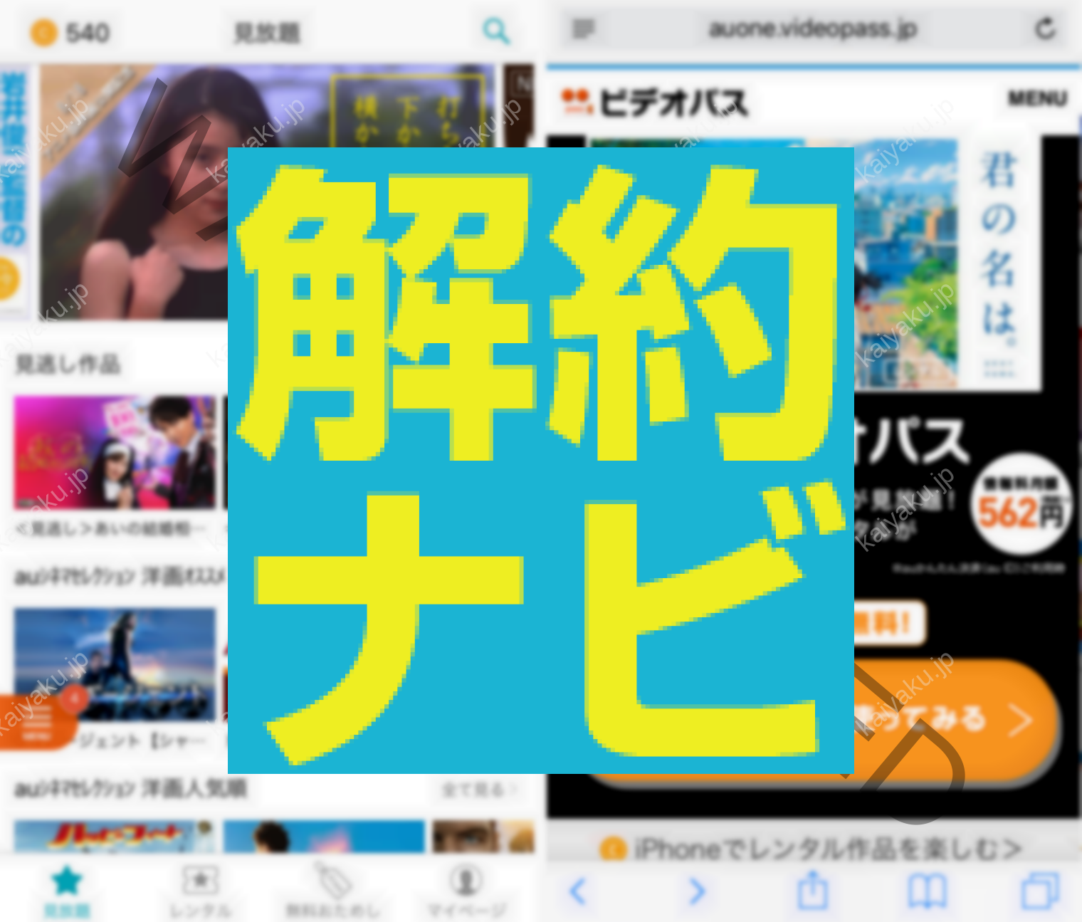 au ビデオパスとは