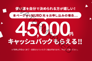 【関東の方限定】インターネット回線をNURO光にして4.5万円の現金ゲット